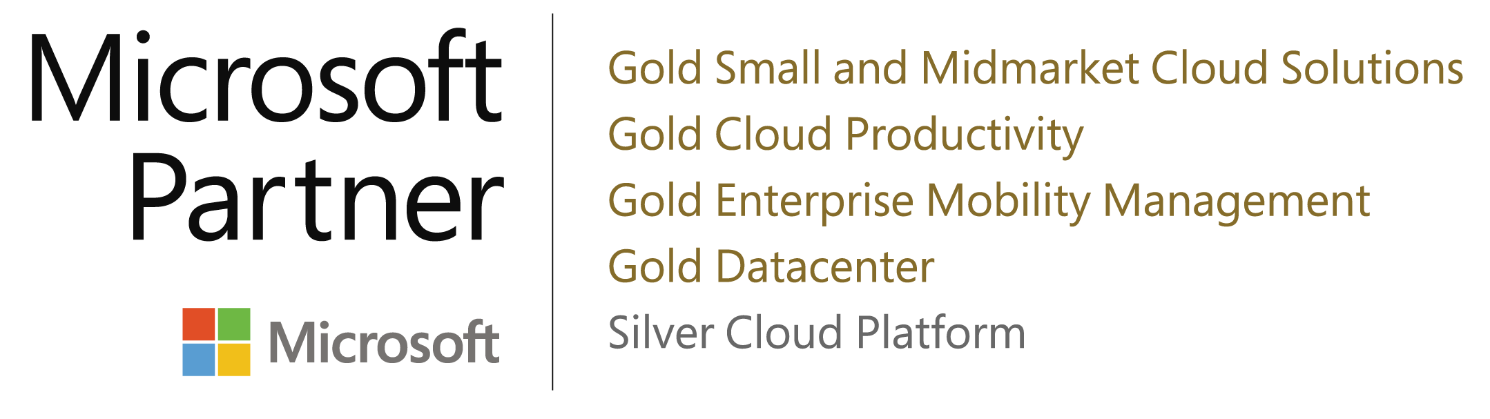 Risc IT Solutions - Microsoft Gold Partner